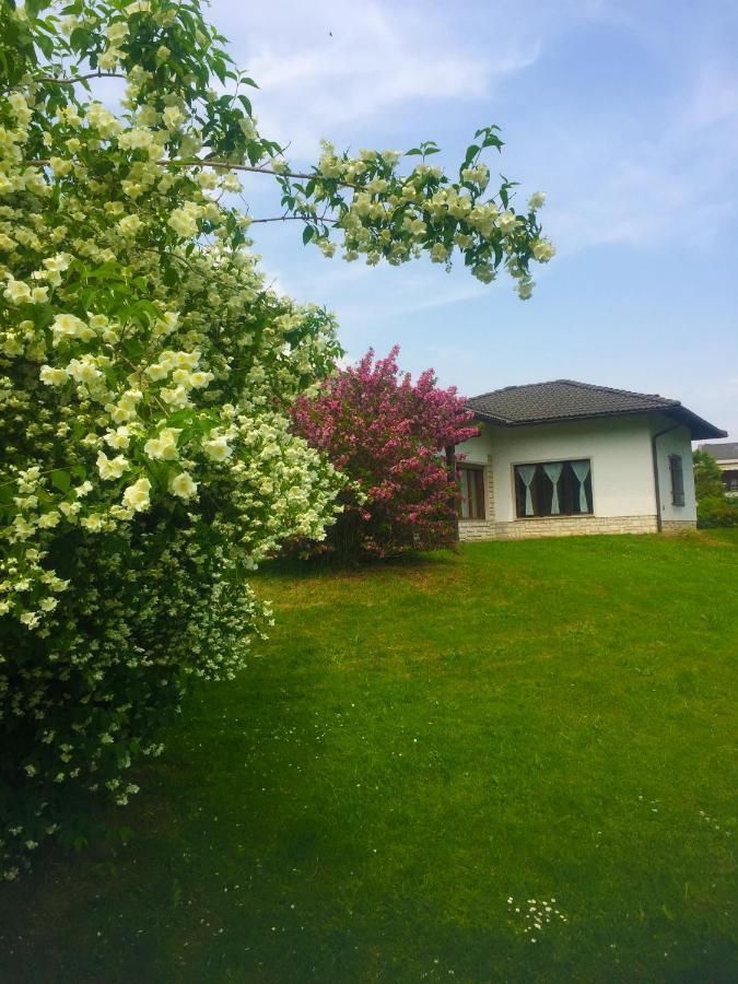 Paradiso Sul Lago Calceranica al Lago Zewnętrze zdjęcie