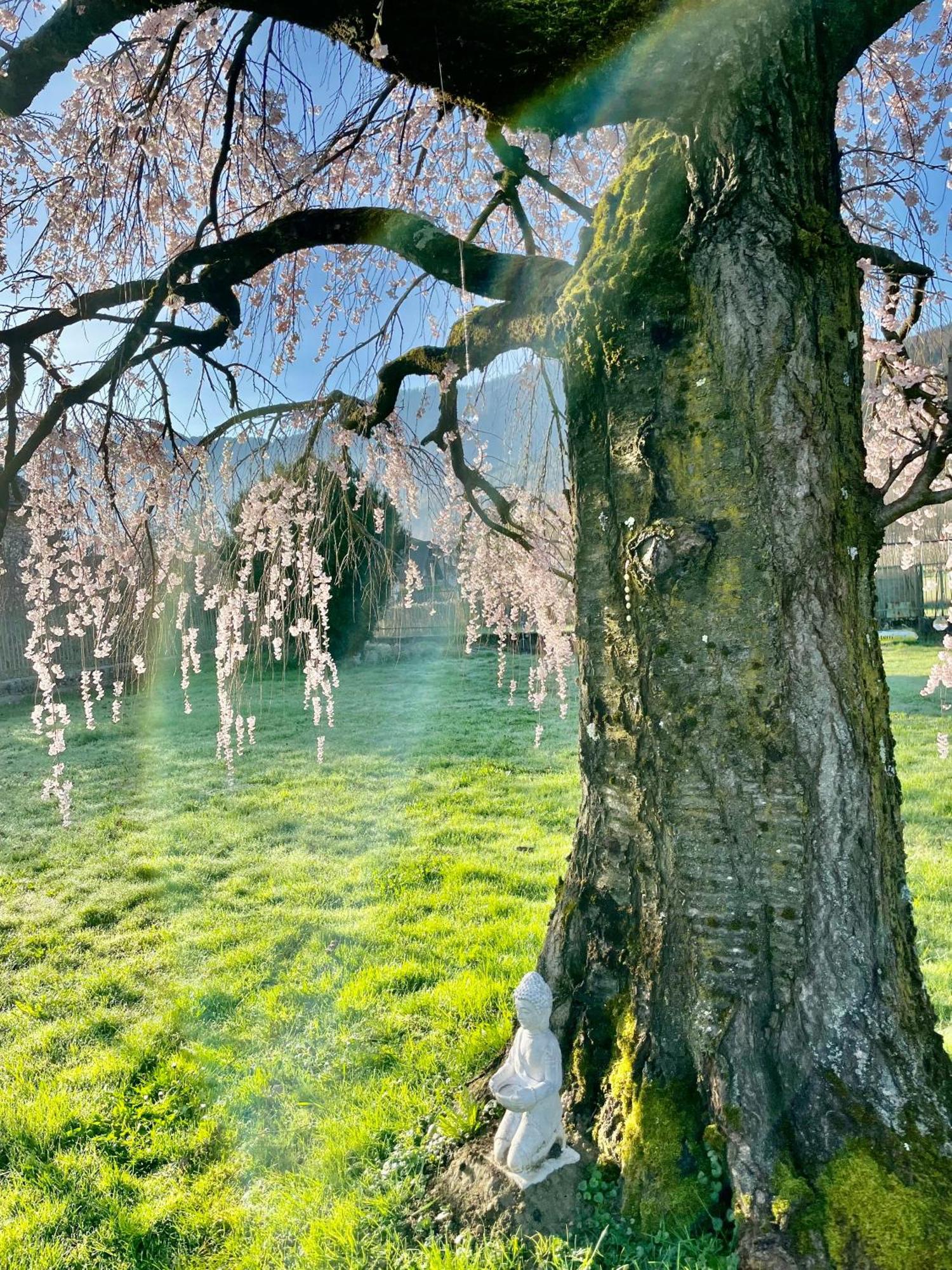 Paradiso Sul Lago Calceranica al Lago Zewnętrze zdjęcie